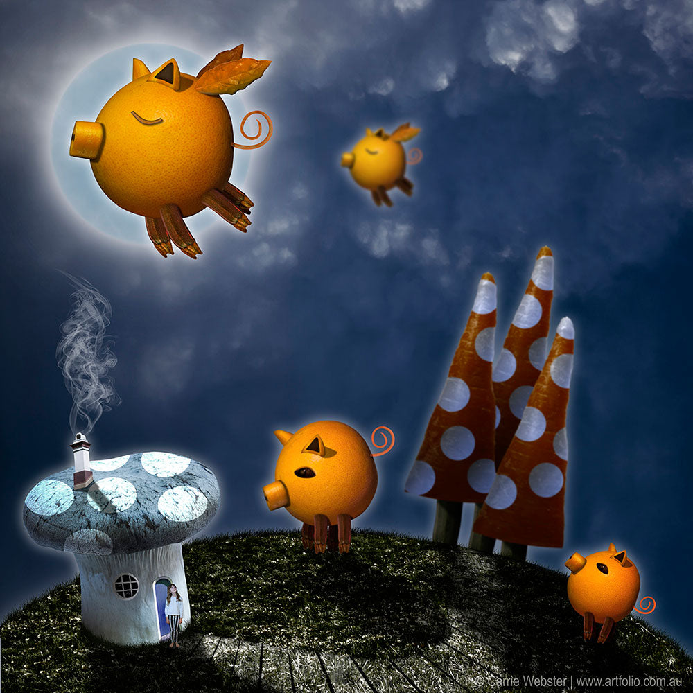 Whimsical series