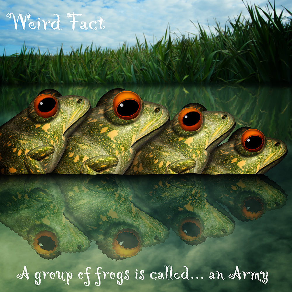 An Army of Frogs