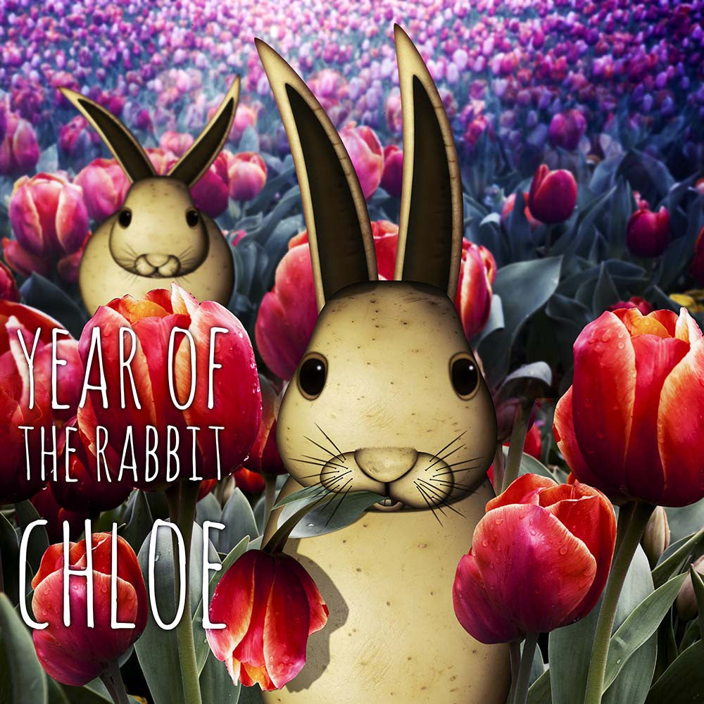 Year of the Rabbit - PERSONALISED