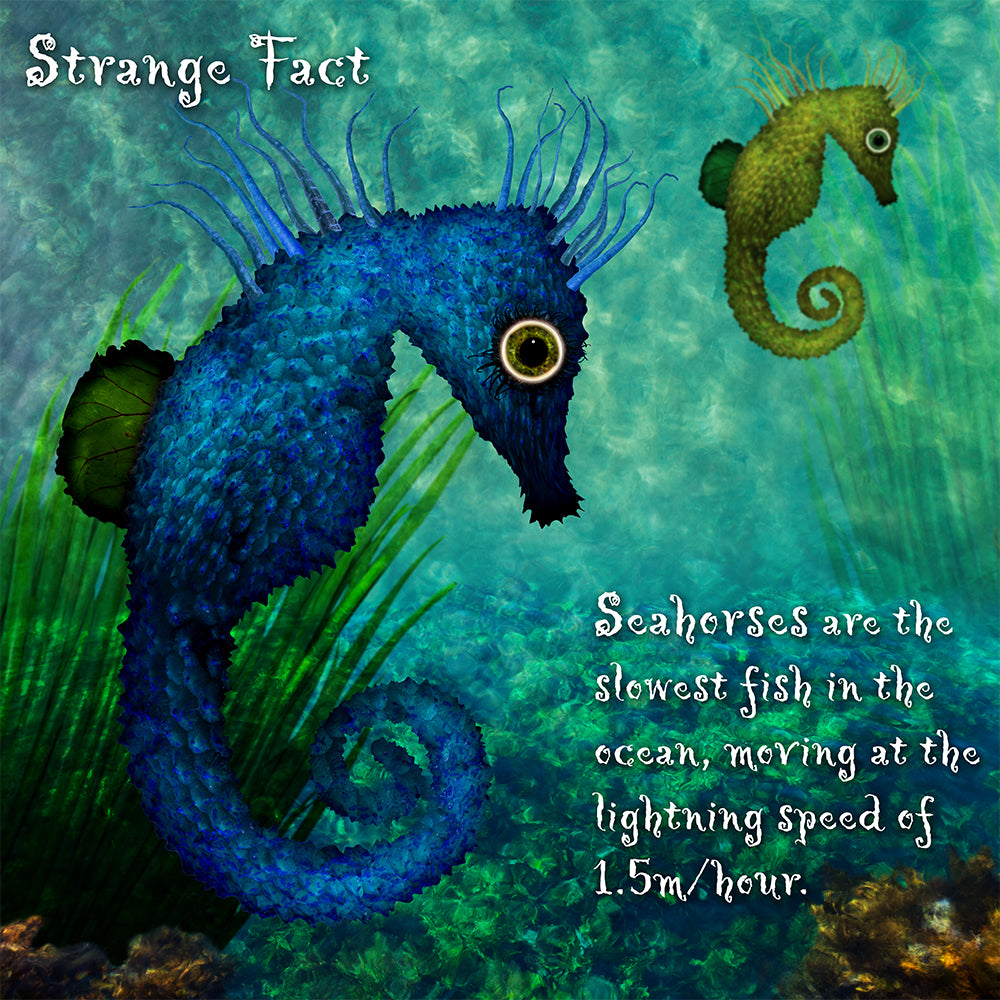 Stealthy Seahorses