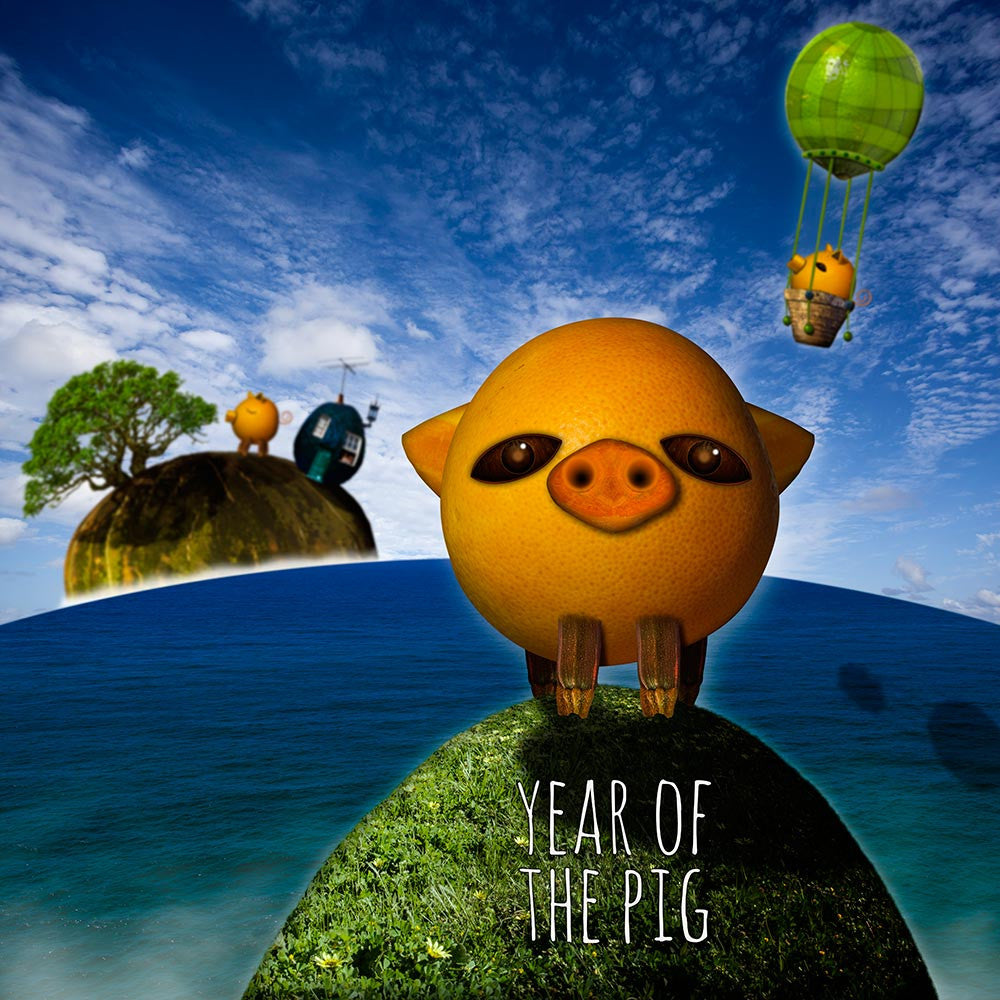 Year of the Pig